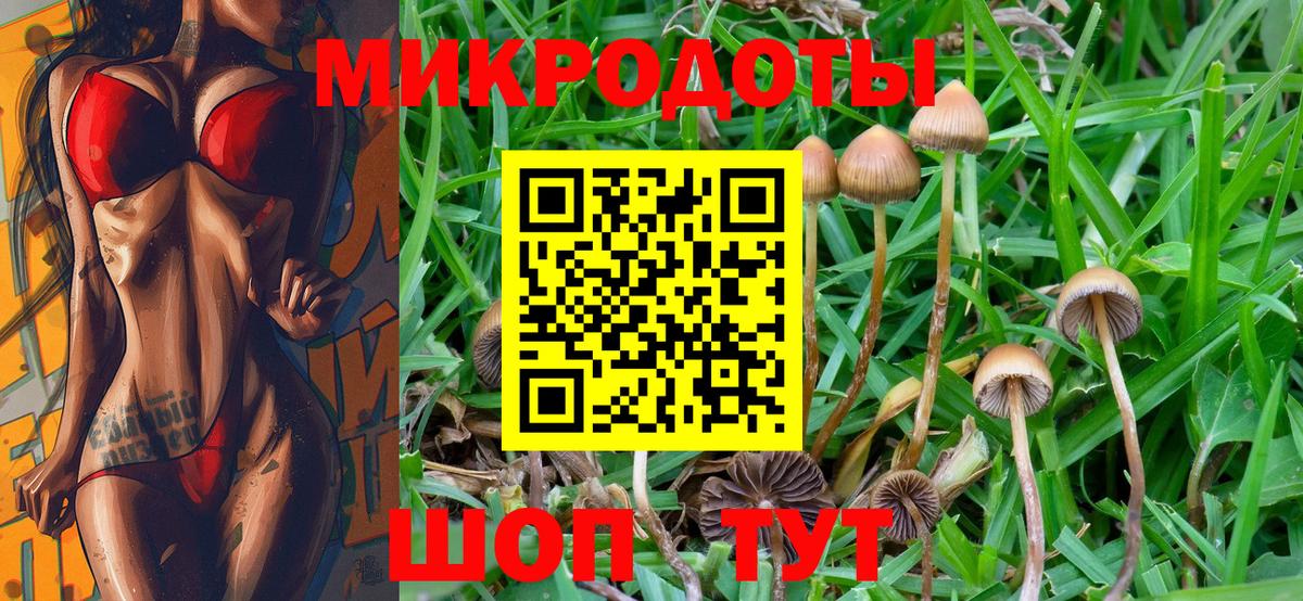 Псилоцибиновые грибы GOLDEN TEACHER  Вход с VPN  Дюртюли  Галлюциногенные грибы прущие грибы 